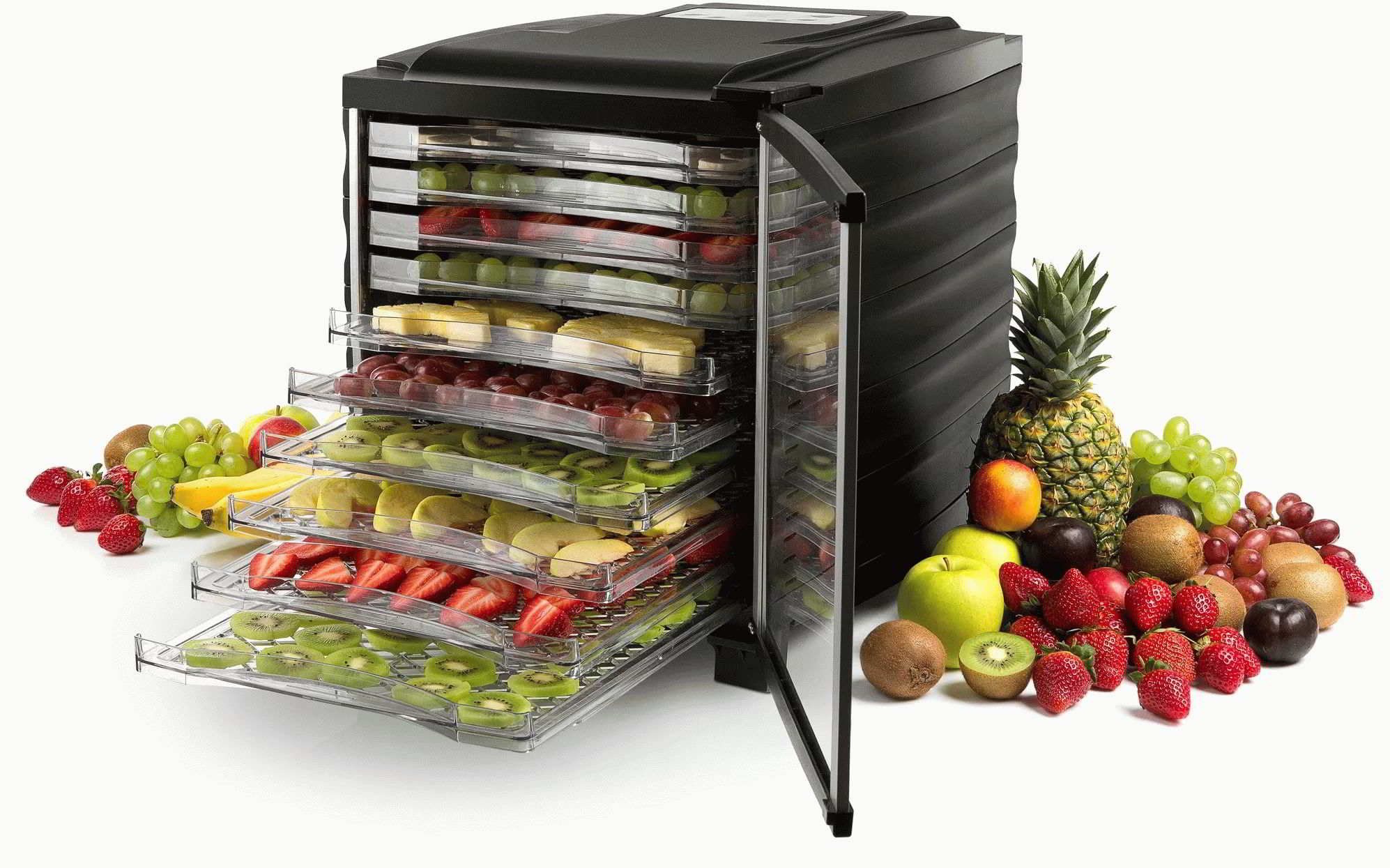 Top-ranking of the best electric dryers 2026 for vegetables, fruits and mushrooms