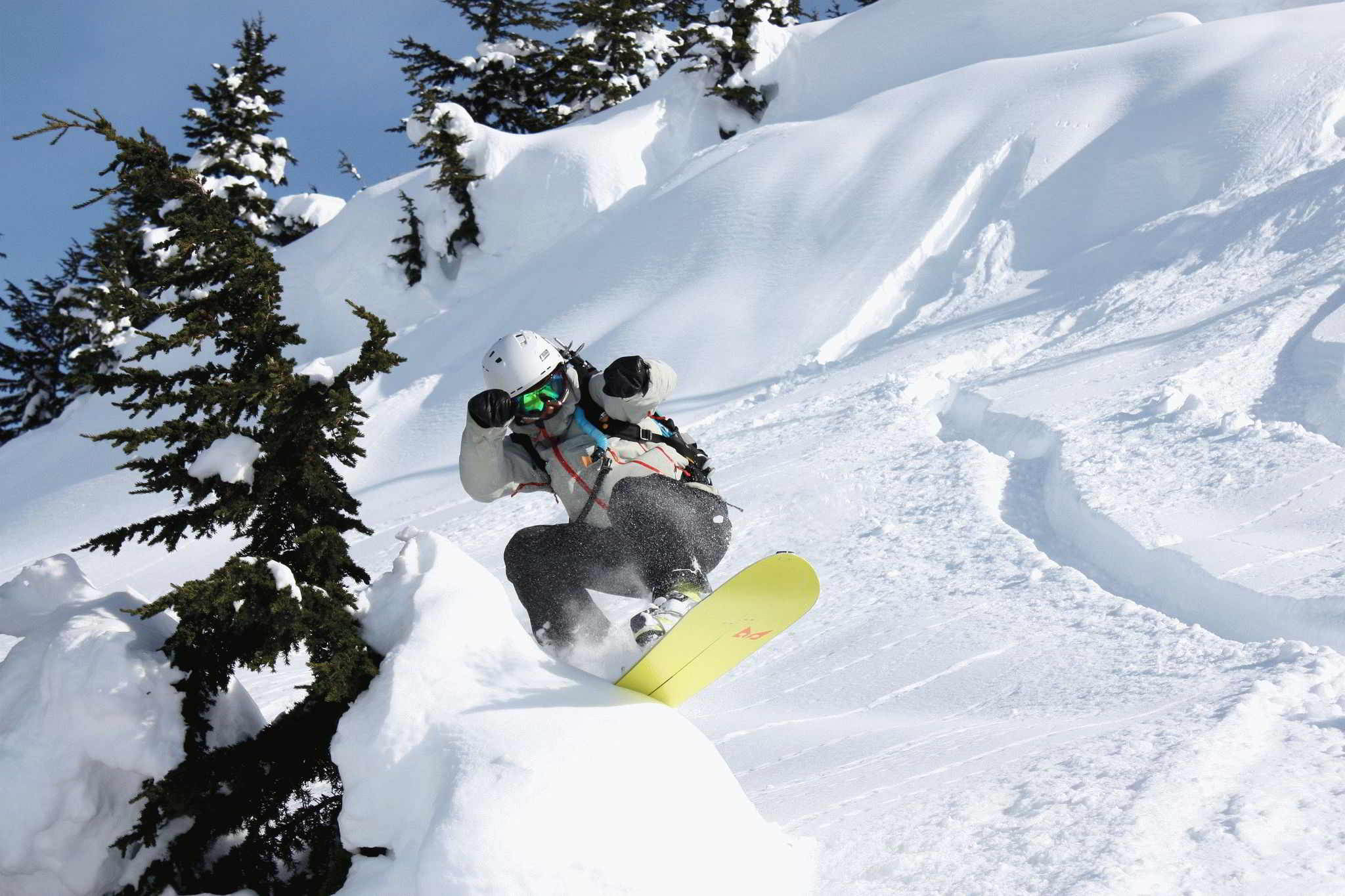 Ranking of the best freestyle snowboards in 2026 - men's and women's