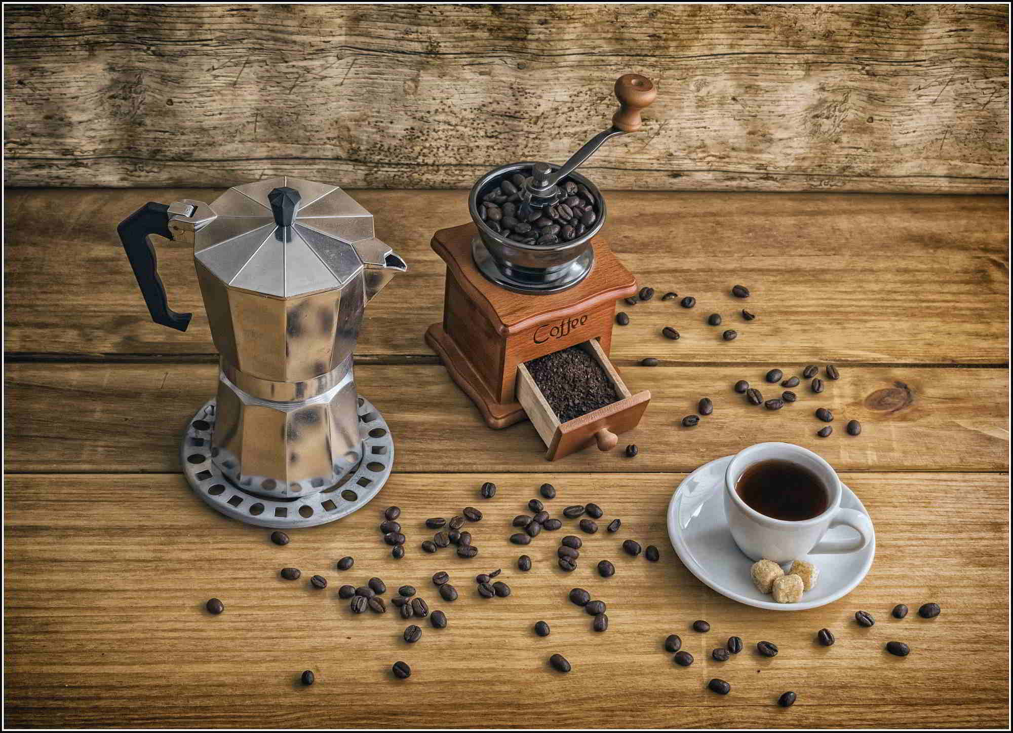 Top ranking of the best coffee grinders for home and cafes in 2026