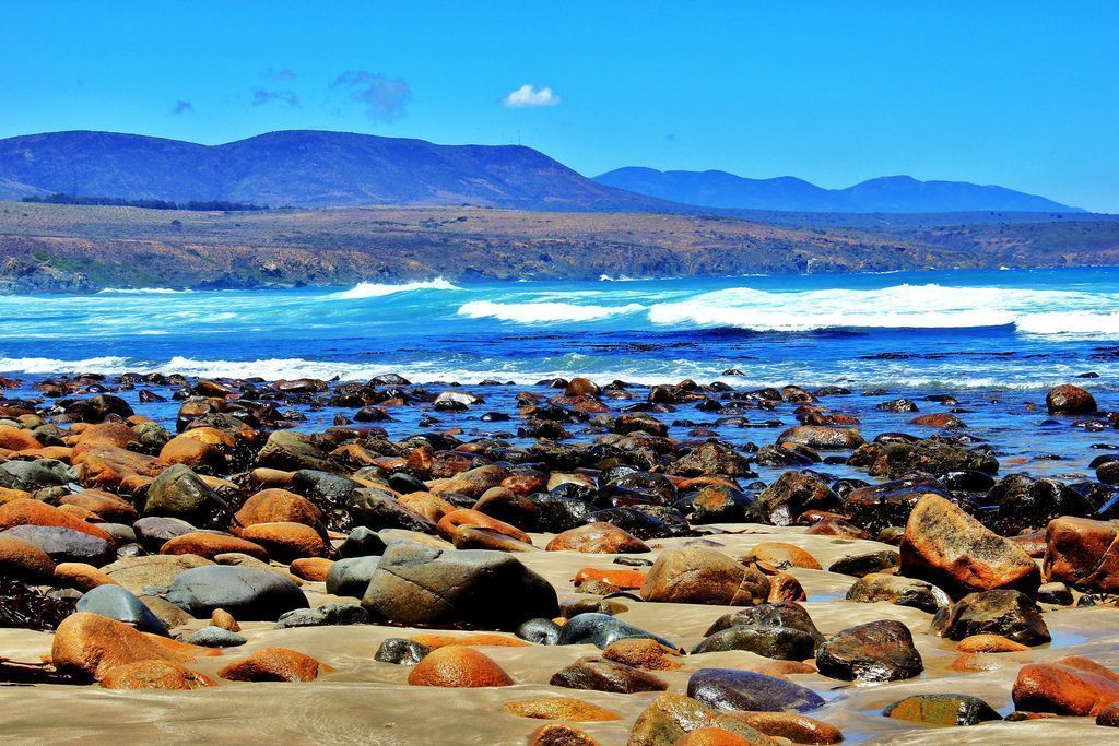 Review of the best children's camps at sea in 2026