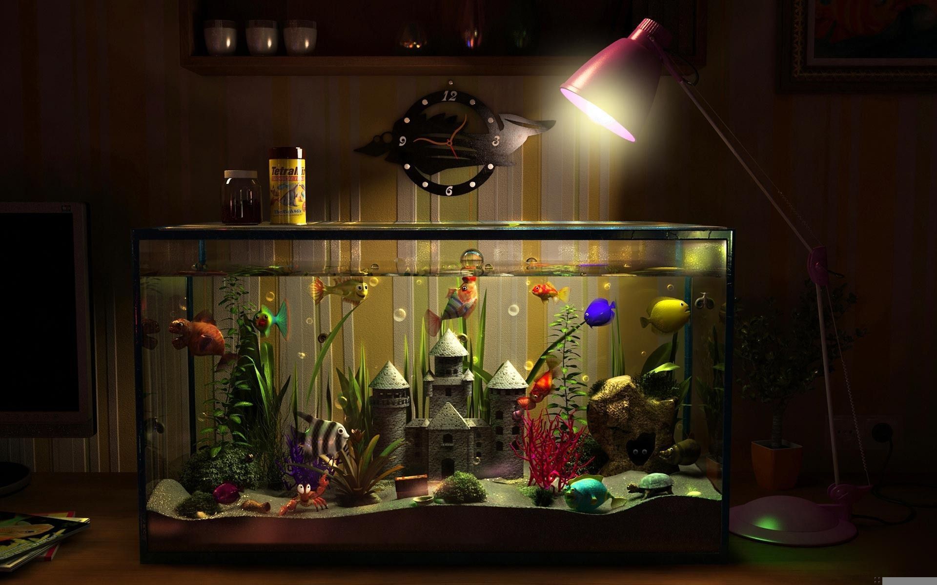 Best aquarium fish for a beginner in 2026