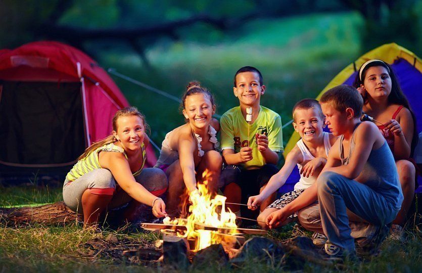The best camps in the Moscow region for children's recreation in 2026