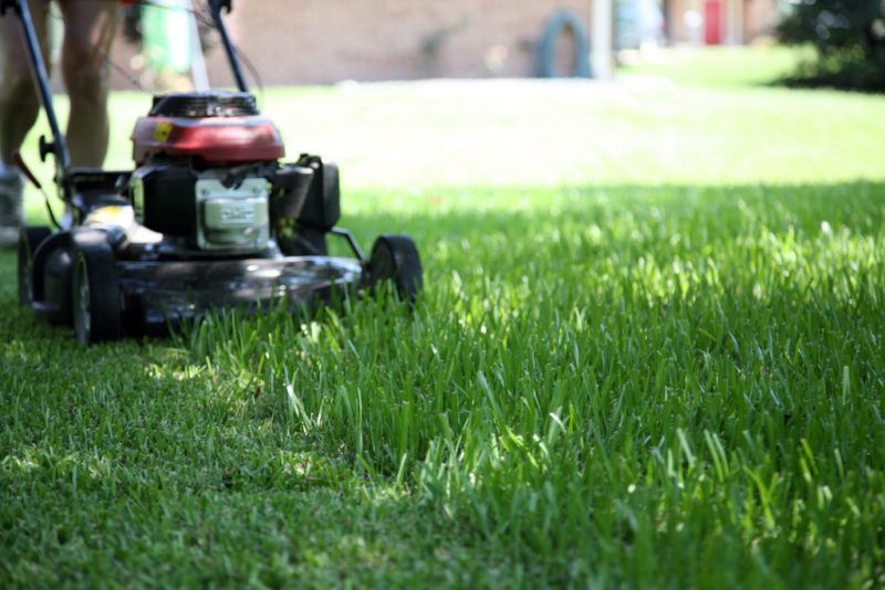 Ranking of the best electric and gasoline lawn mowers in 2026
