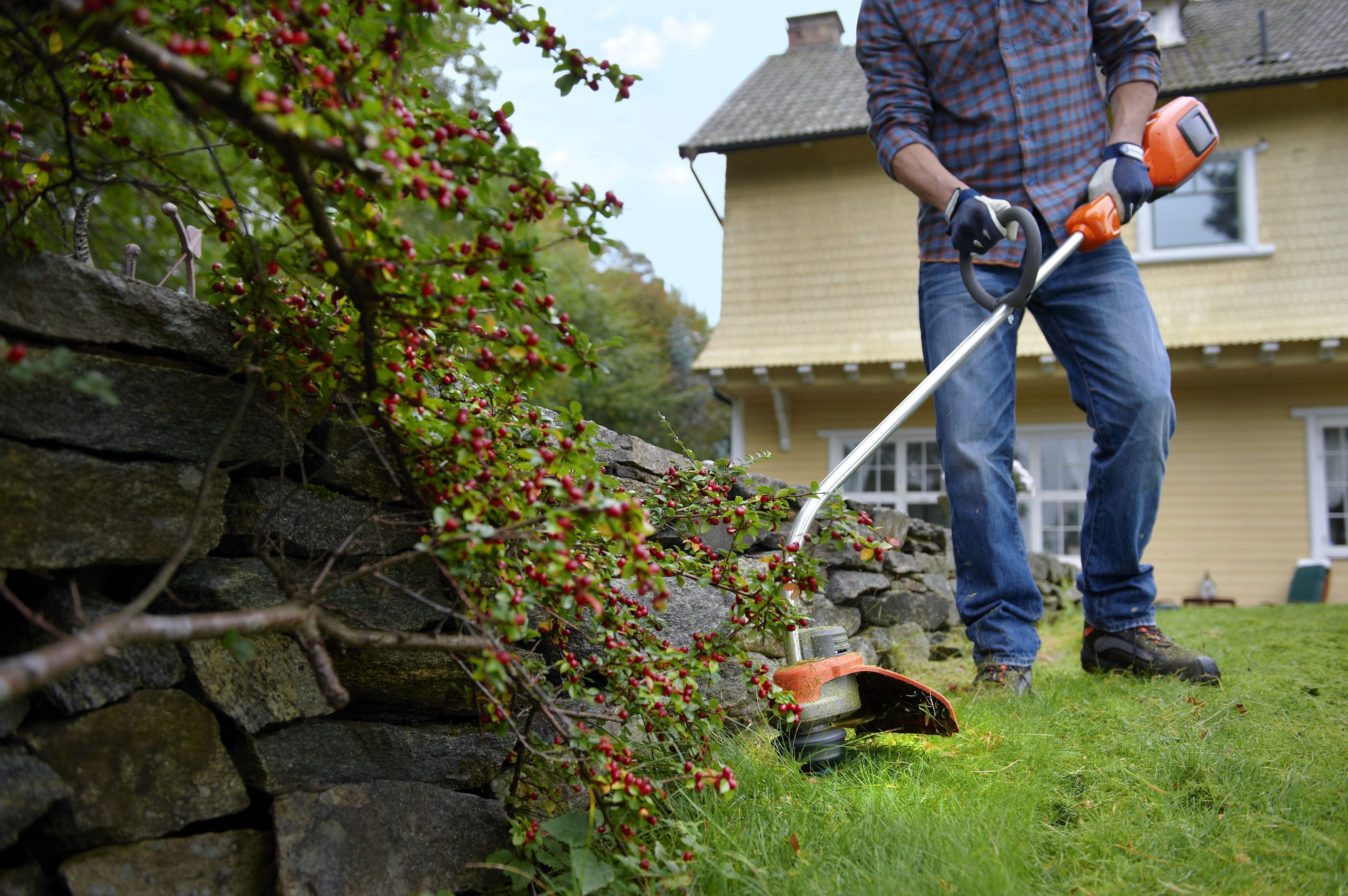 Ranking of the best grass trimmers 2026 - petrol and electric