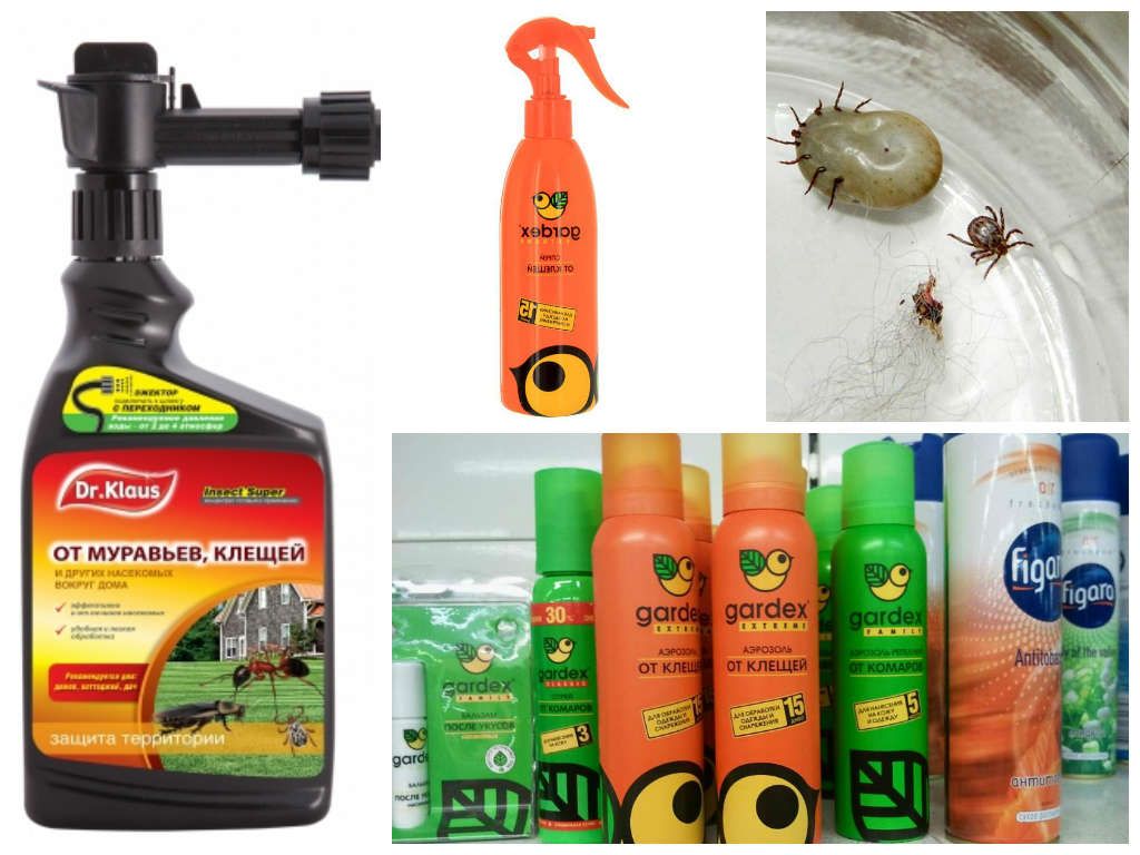 Rating of the best tick remedies for humans in 2026