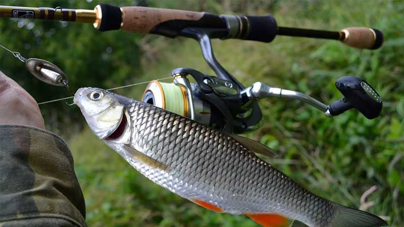 Rating of the best ultralight spinning rods in 2026