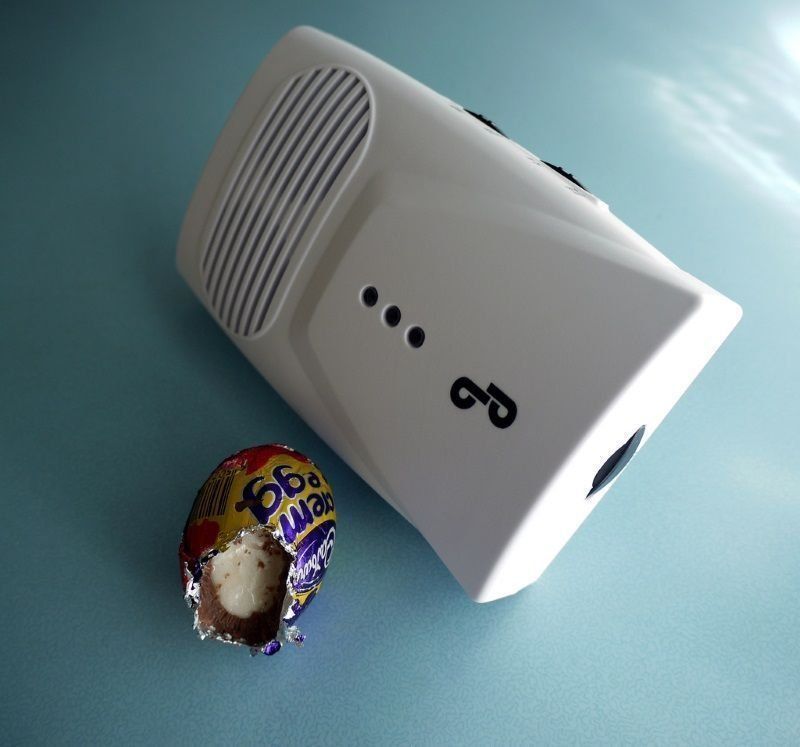 Rating of the best rodent and insect repellents in 2026