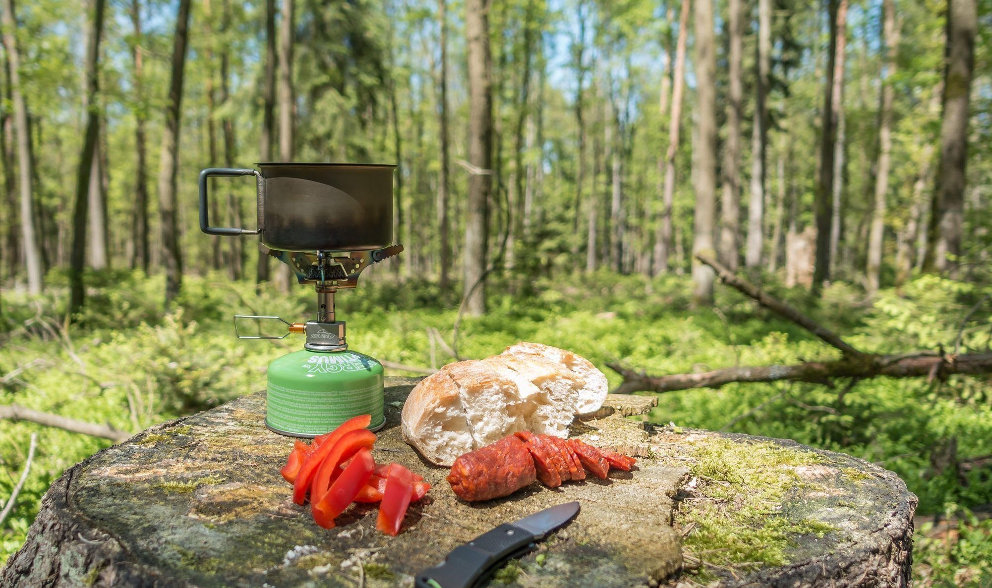 Rating of the best burners for tourism in 2026