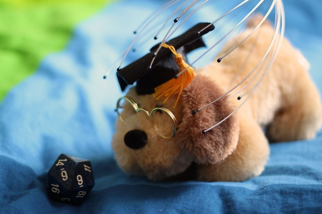 Rating of the best vibrating massagers and vibrating platforms in 2026