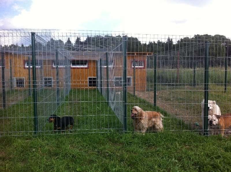 Hotels for animals in Novosibirsk in 2026