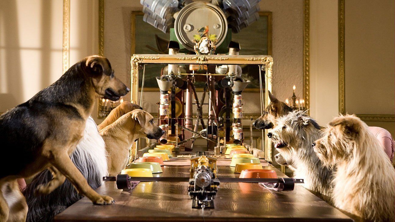 Rating of the best hotels for animals in Volgograd in 2026