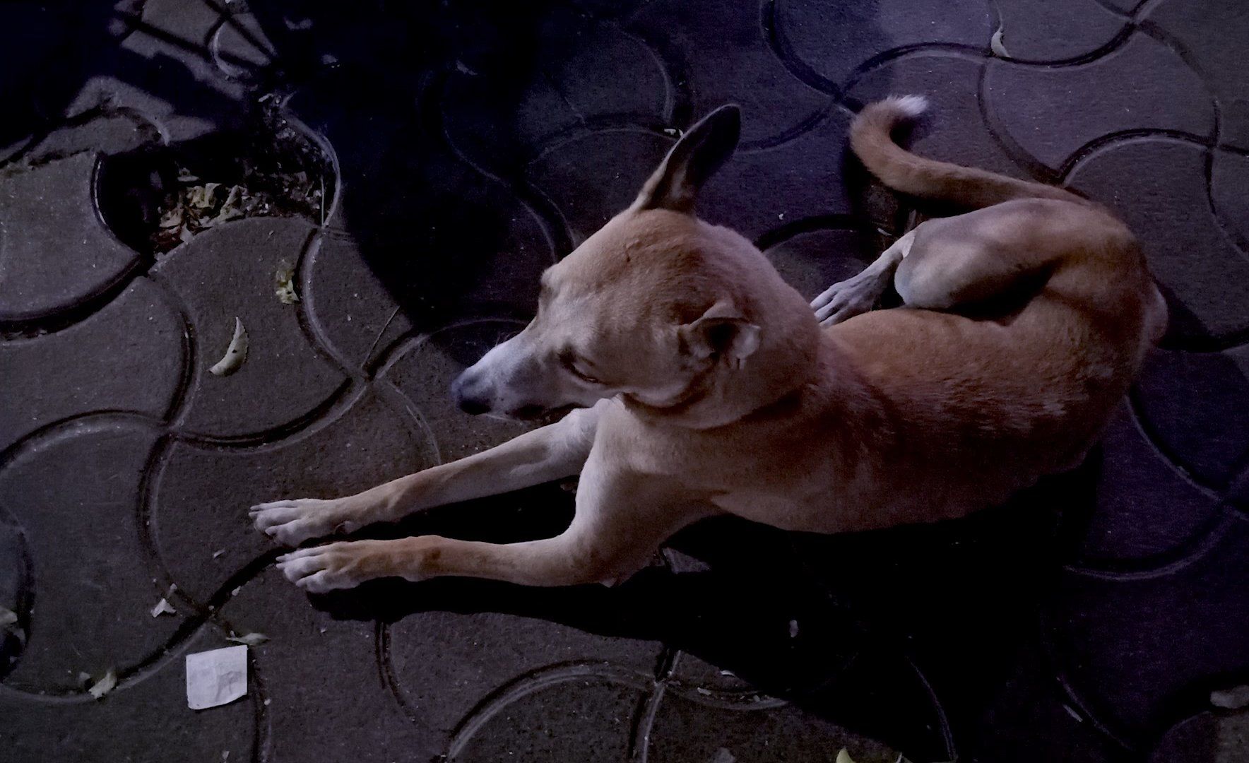 Best Nokia smartphones in 2026