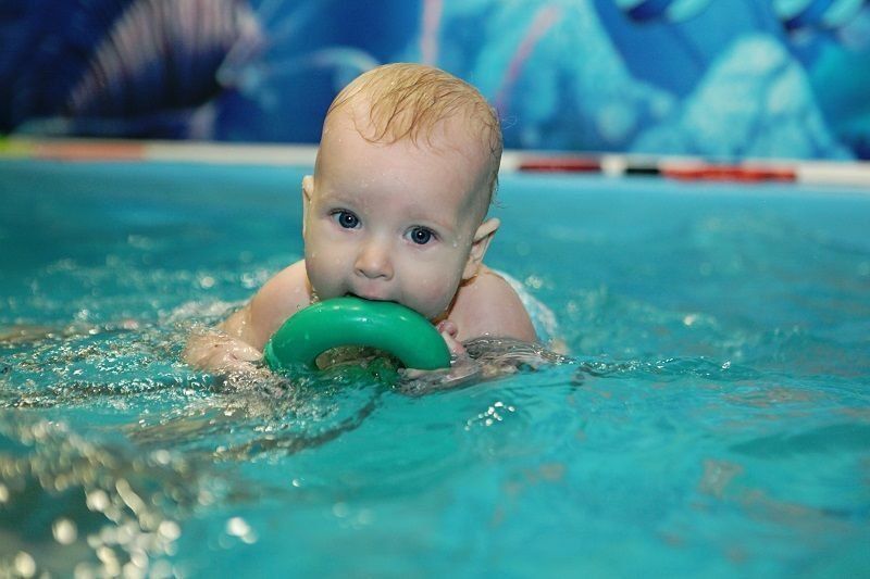 Rating of the best children's pools in Novosibirsk in 2026