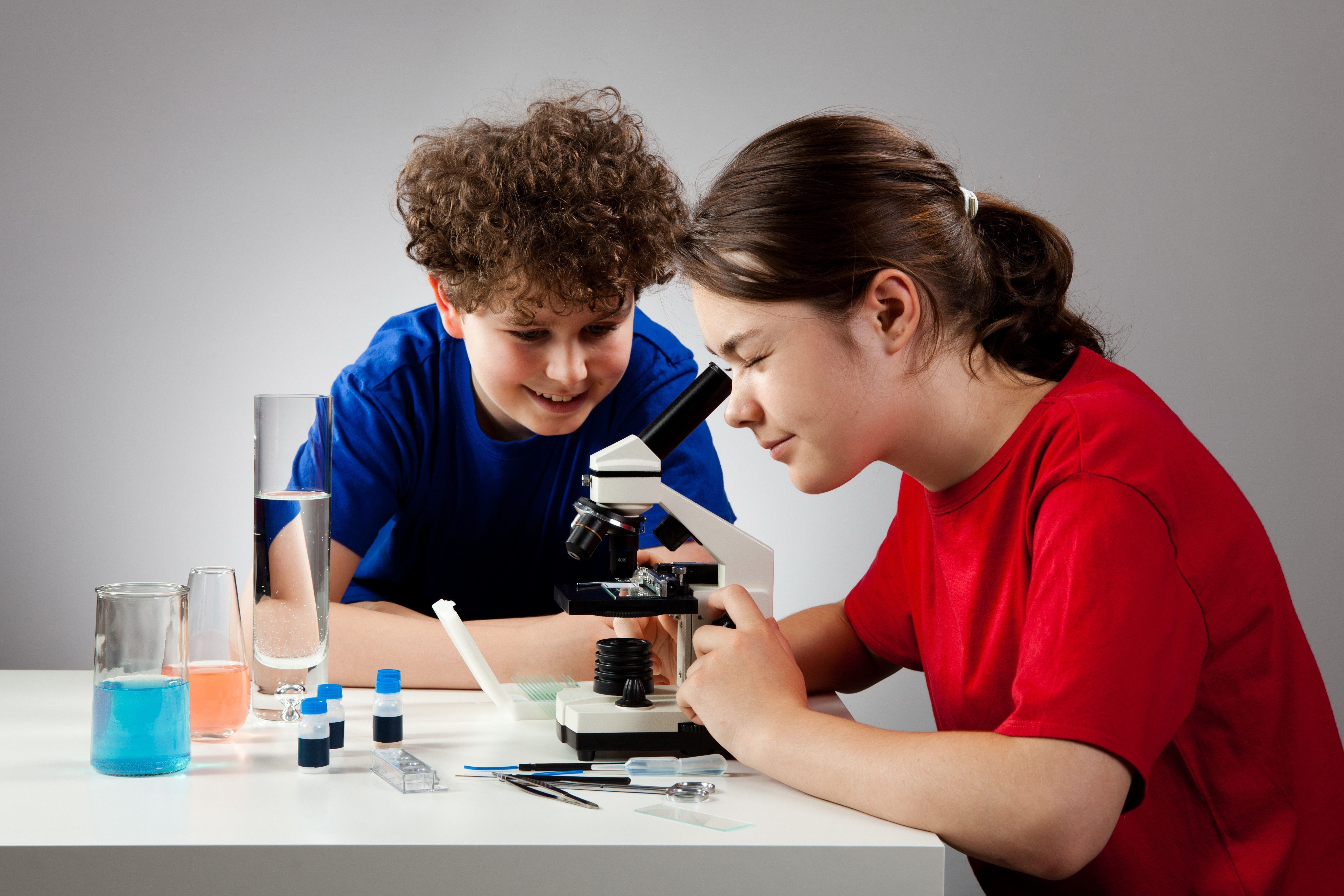 Best microscopes for schoolchildren and students in 2026