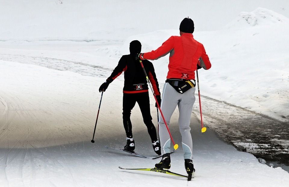 The best cross-country ski poles in 2026 and how to choose them