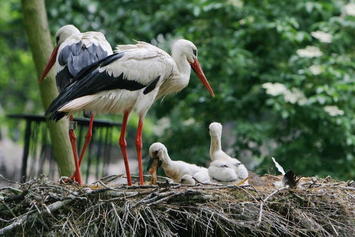 Rating of the best IVF clinics in Voronezh in 2026 with positive reviews and results