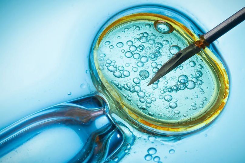Best IVF clinics in Perm in 2026