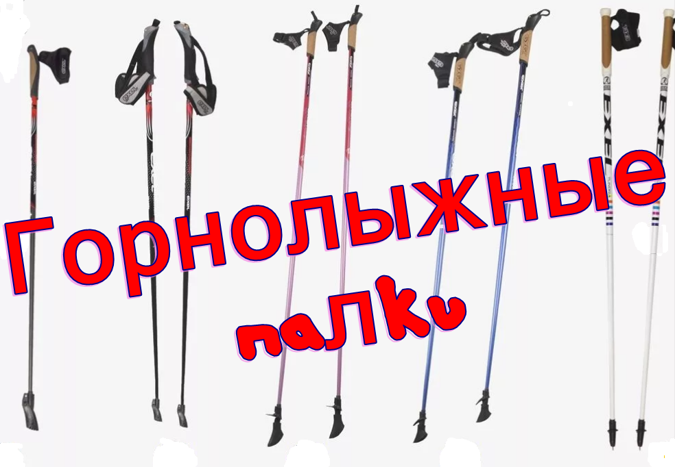 The best ski poles in 2026 and how to choose them