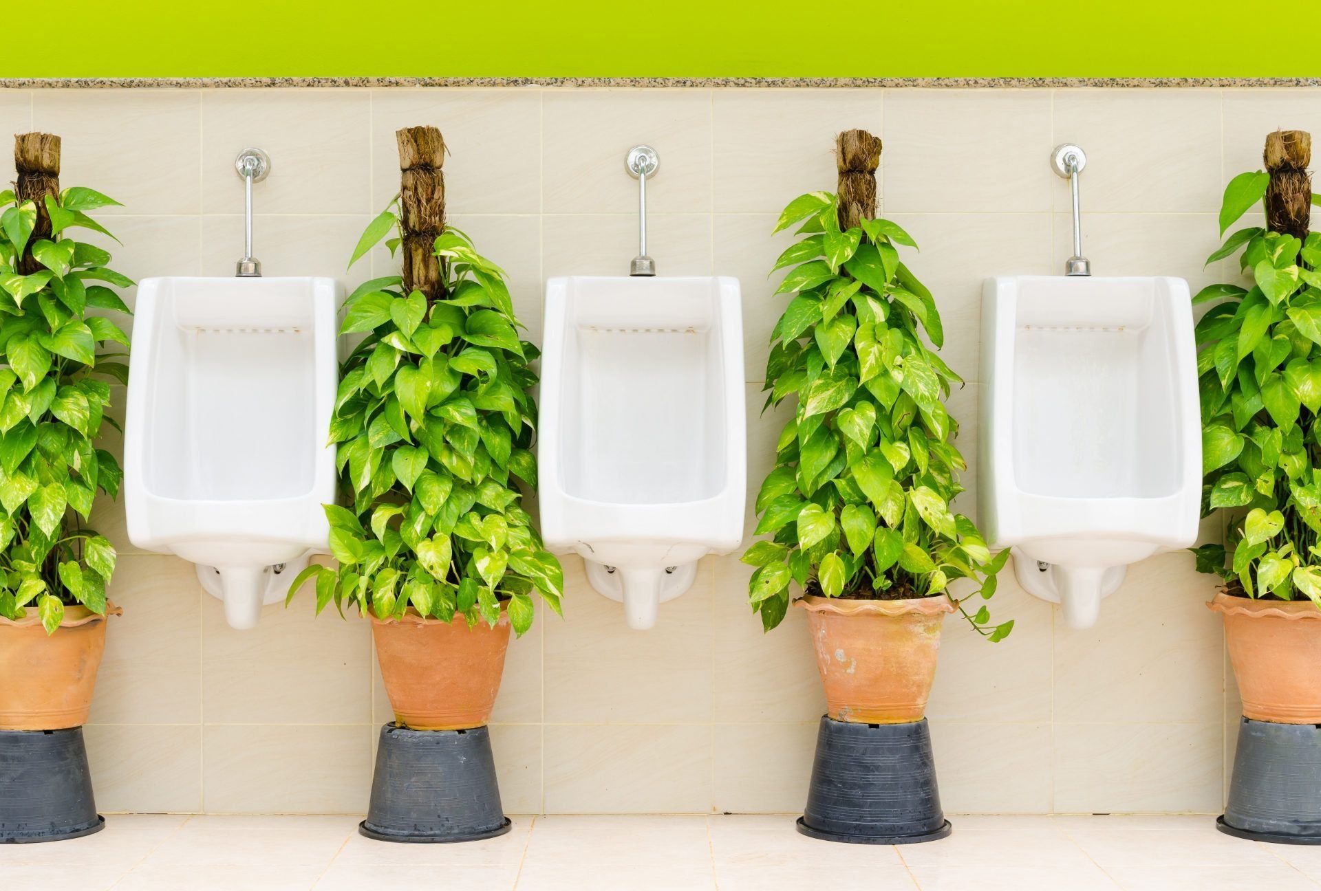 Rating of the best urinals 2026: how to choose