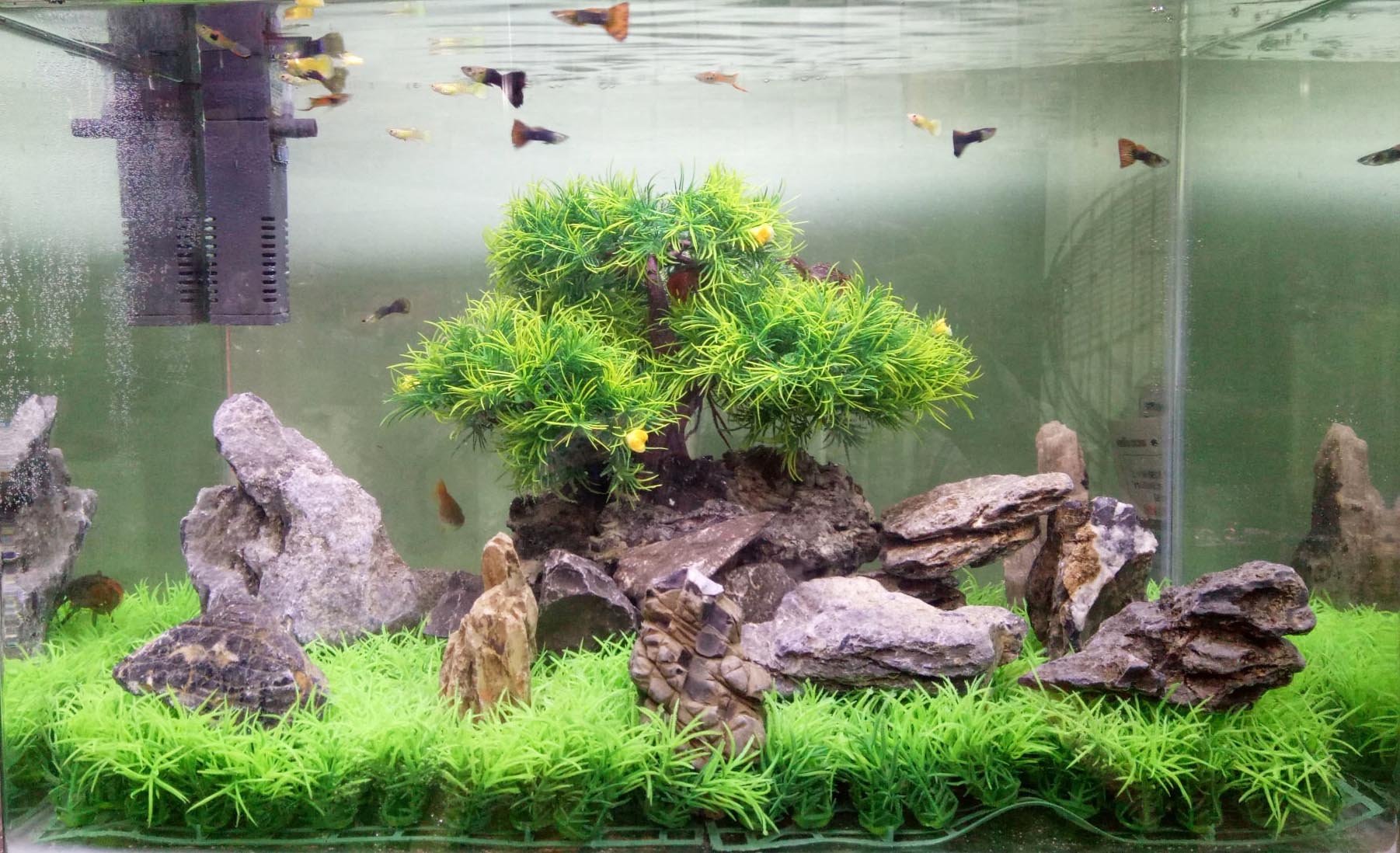 Rating of the best soils for aquariums in 2026