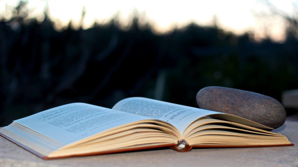 Rating of the best foreign detective books in 2026