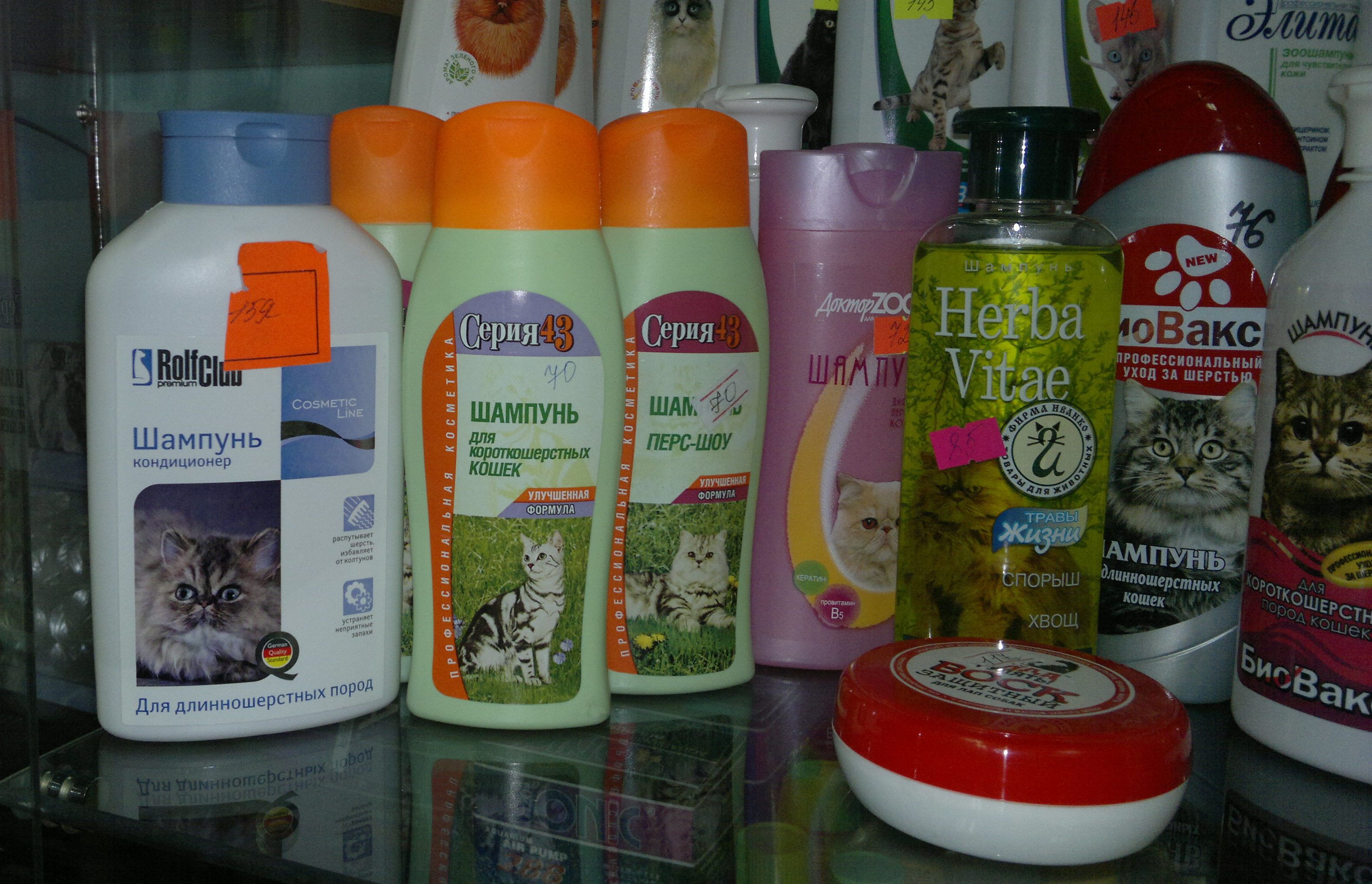 Rating of the best shampoos for cats and cats in 2026