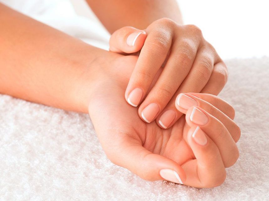 Rating of the best biogels for nails 2026