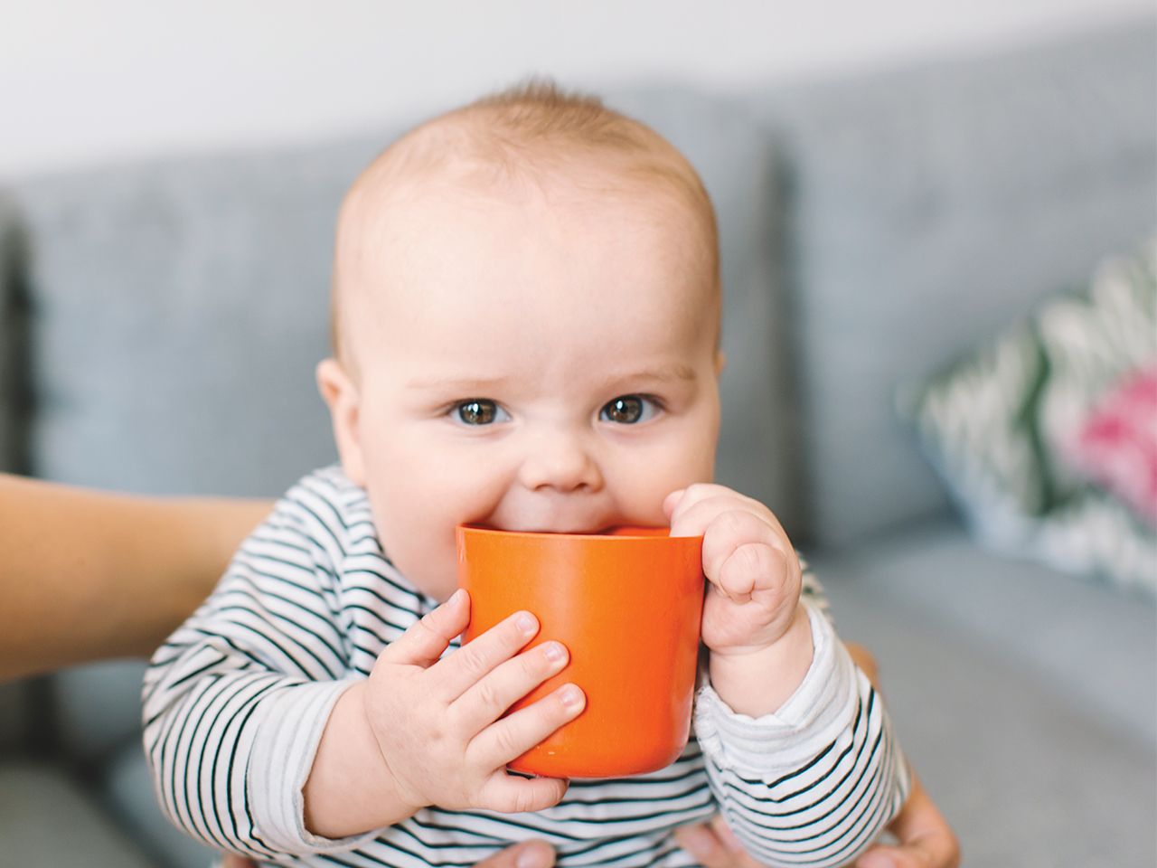 Review of the best sippy cups for babies in 2026 - advantages, disadvantages and price