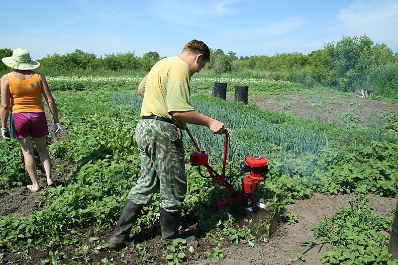 The best Caiman walk-behind tractors in 2026