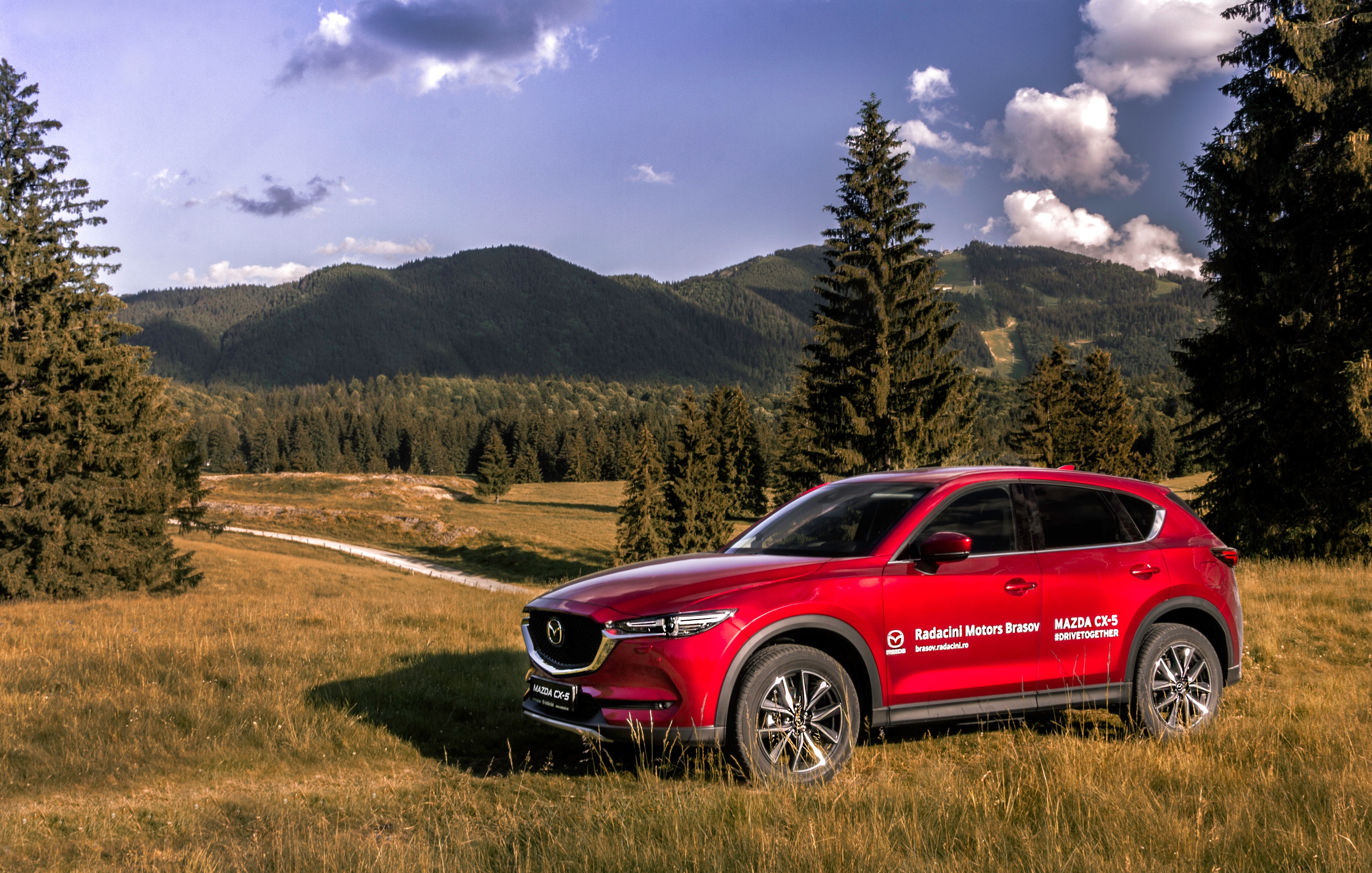 Rating of the best crossovers for 2026