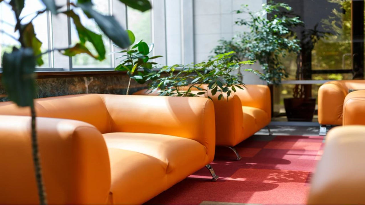 Rating of the best and inexpensive hotels in Chelyabinsk in 2026