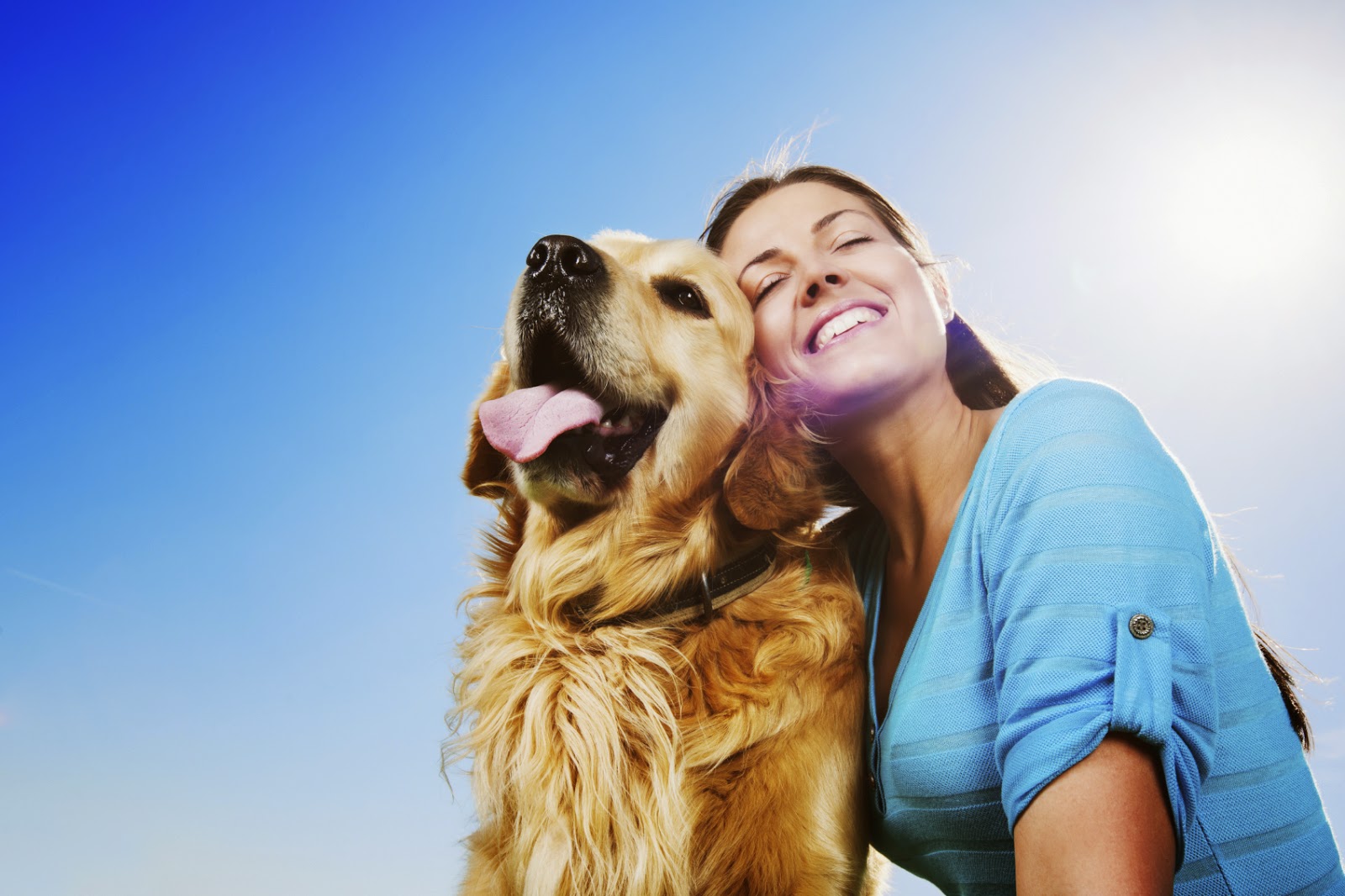 Rating of the best dog kennels in Perm for 2026