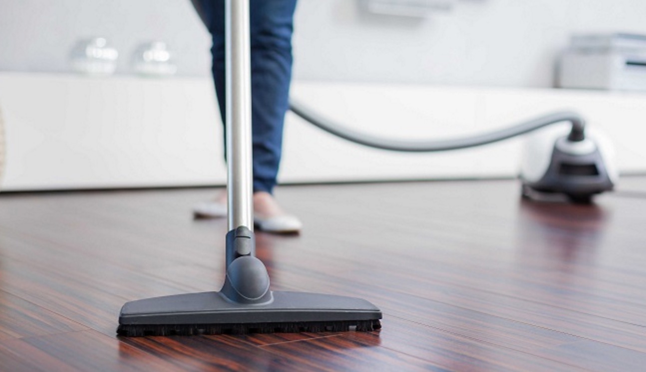 Rating of the best separator vacuum cleaners for 2026