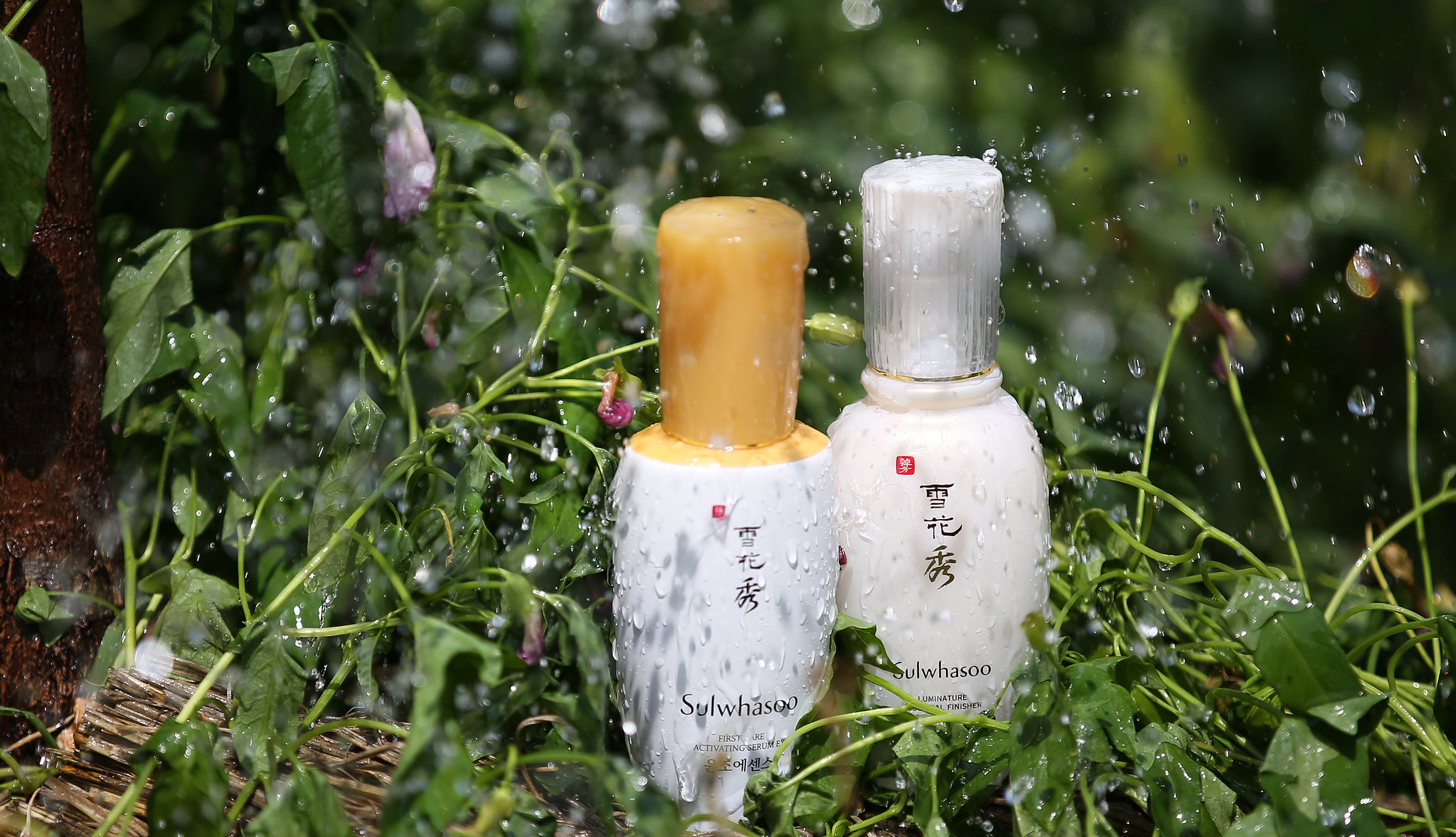 Best Korean Facial Serums in 2026