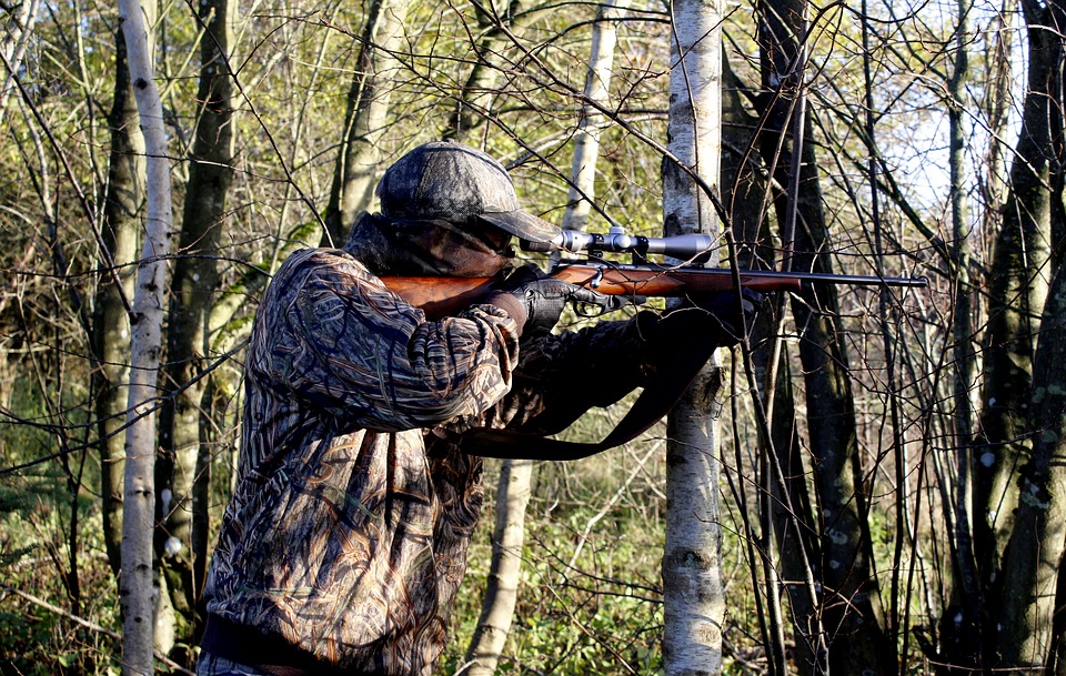Rating of the best air rifles for hunting without a license for 2026