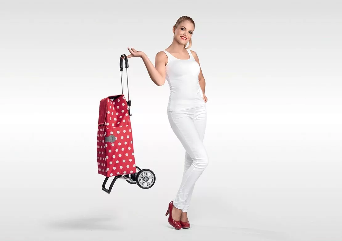 Best shopping trolley bags on wheels for 2026