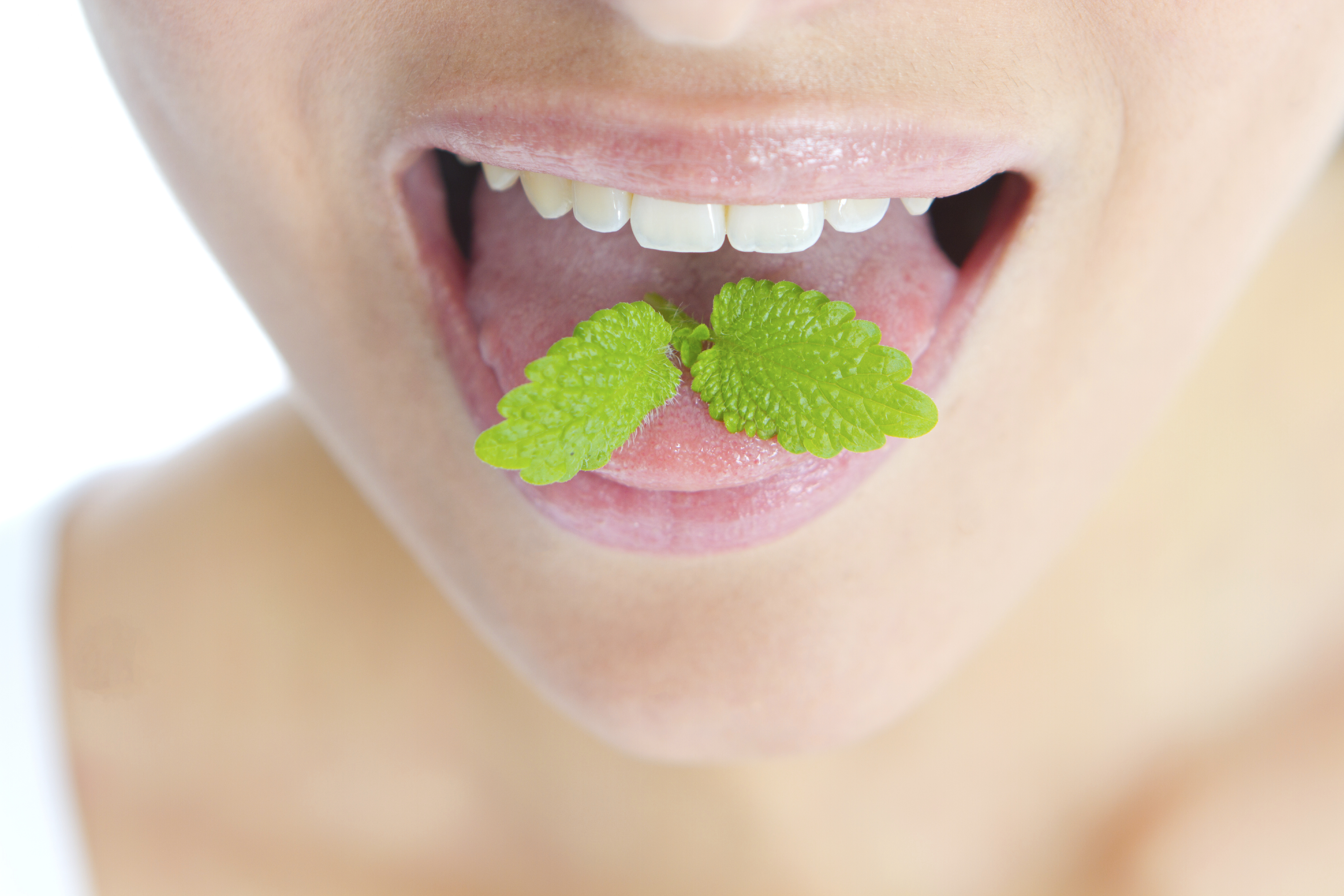 Rating of the best breath fresheners for 2026