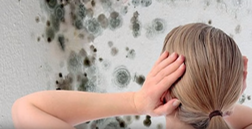 Ranking of the best bathroom mold removers for 2026