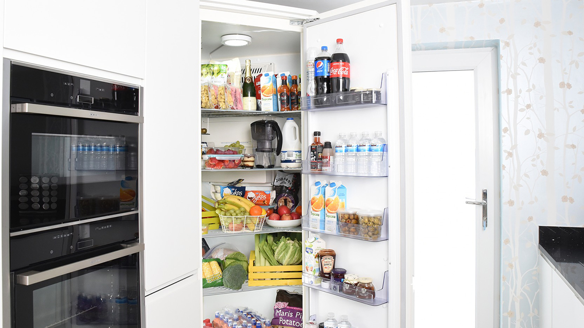 Ranking of the best refrigerator odor absorbers for 2026