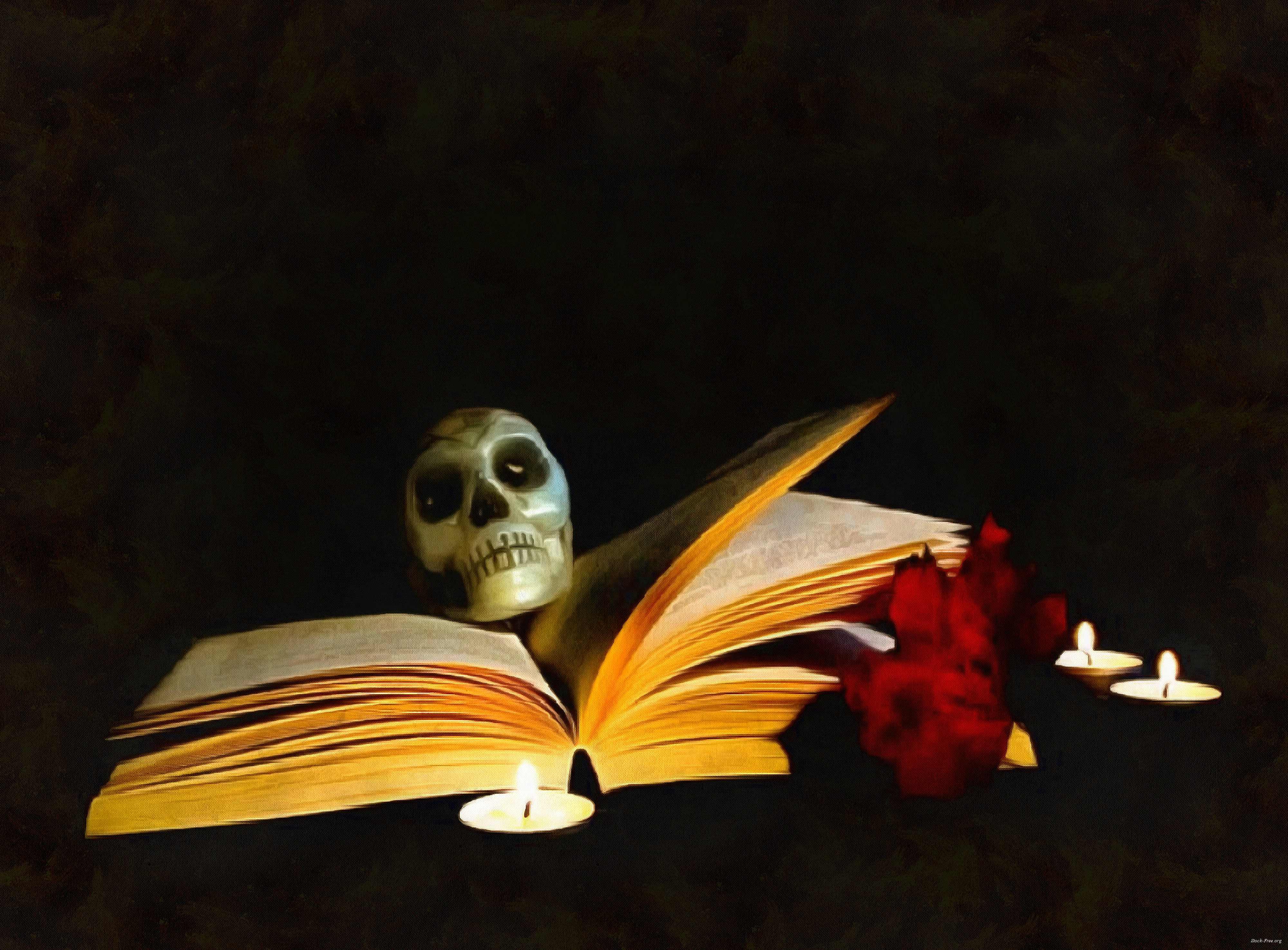 Ranking of the best Stephen King books for 2026