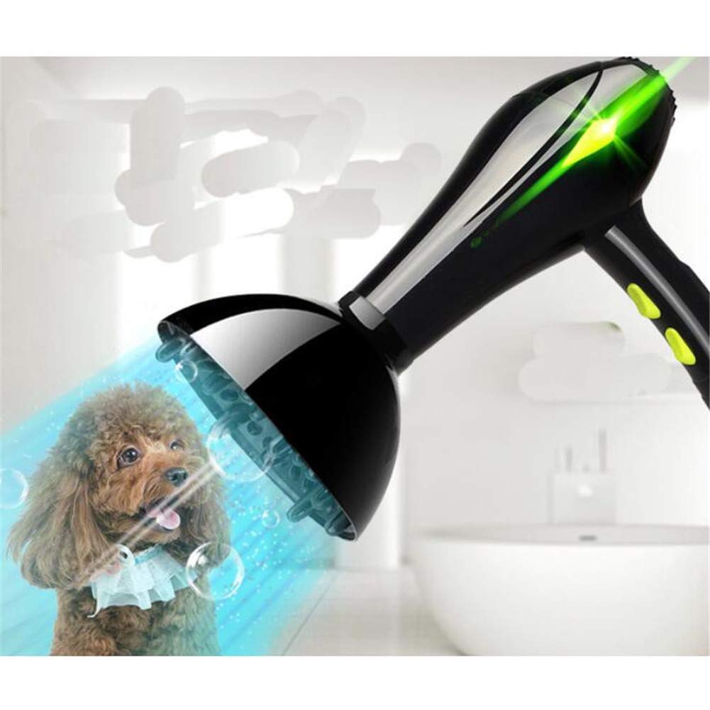 Rating of hair dryers-compressors for drying dogs and cats for 2026