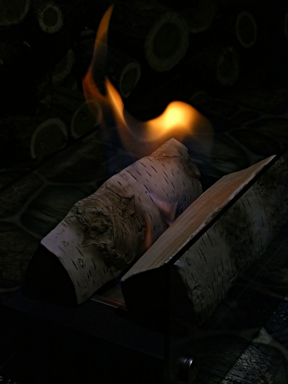 Rating of the best bio fireplaces for an apartment and a country house for 2026