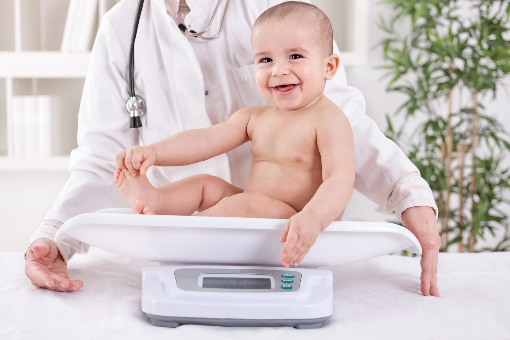 Rating of the best medical scales for 2026