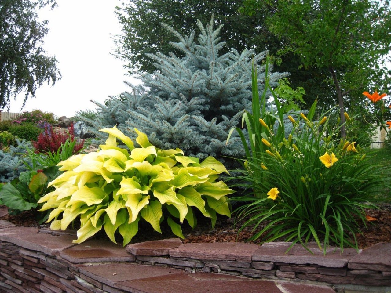 Rating of the best soil acidity meters (PH meters) for 2026