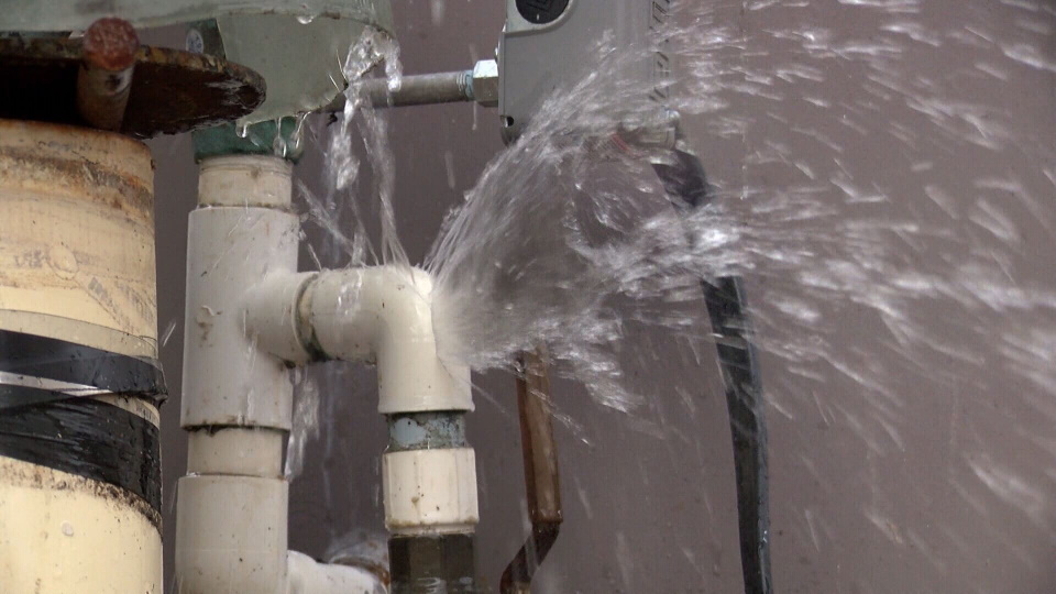 Rating of the best water check valves for 2026