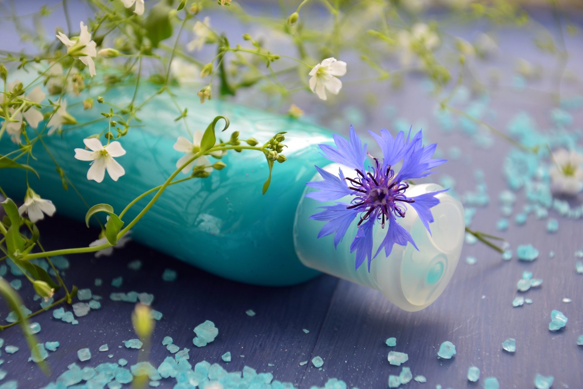 Best shampoos for colored hair in 2026