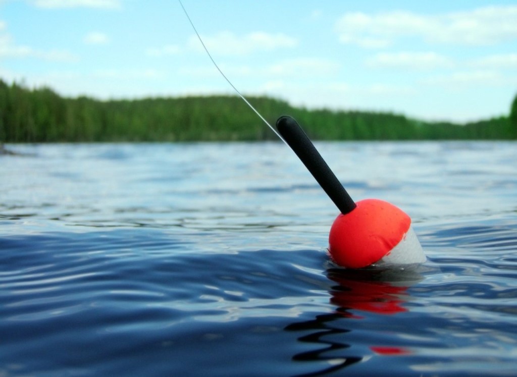 Rating of the best fishing floats for 2026