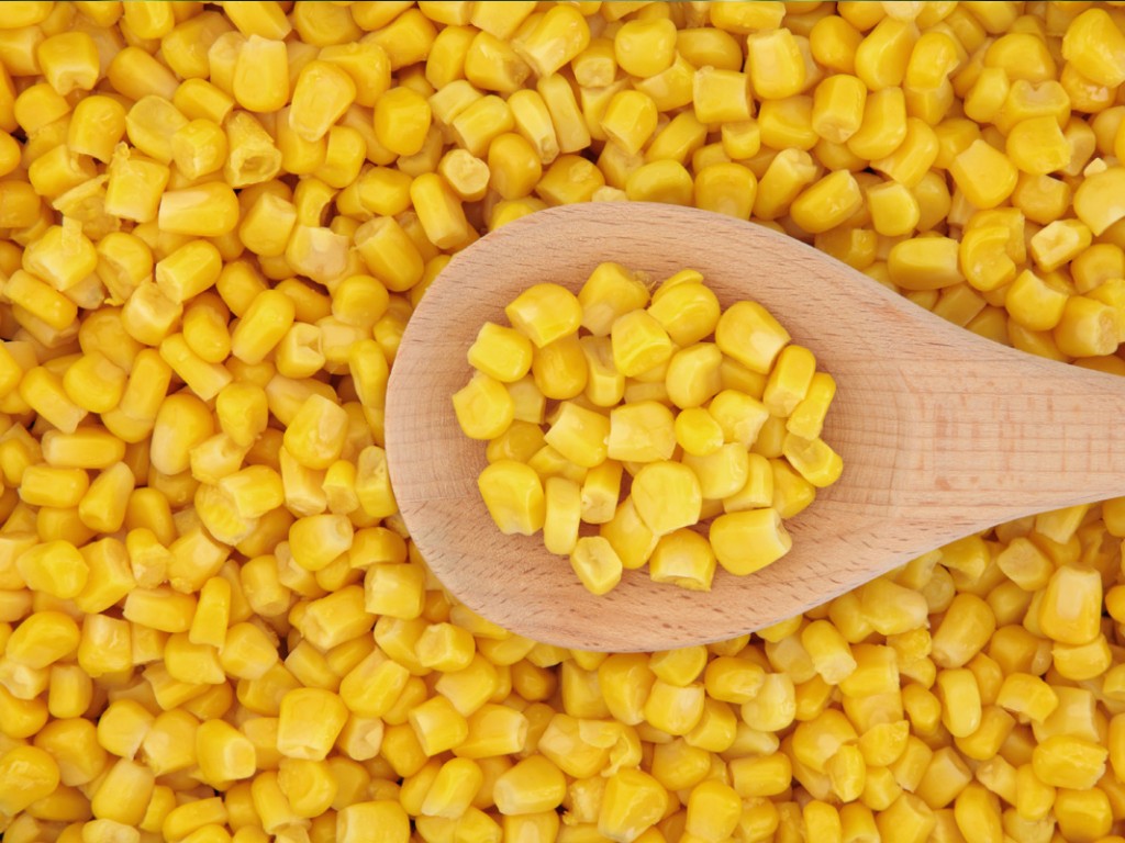 Rating of the best brands of canned corn for 2026