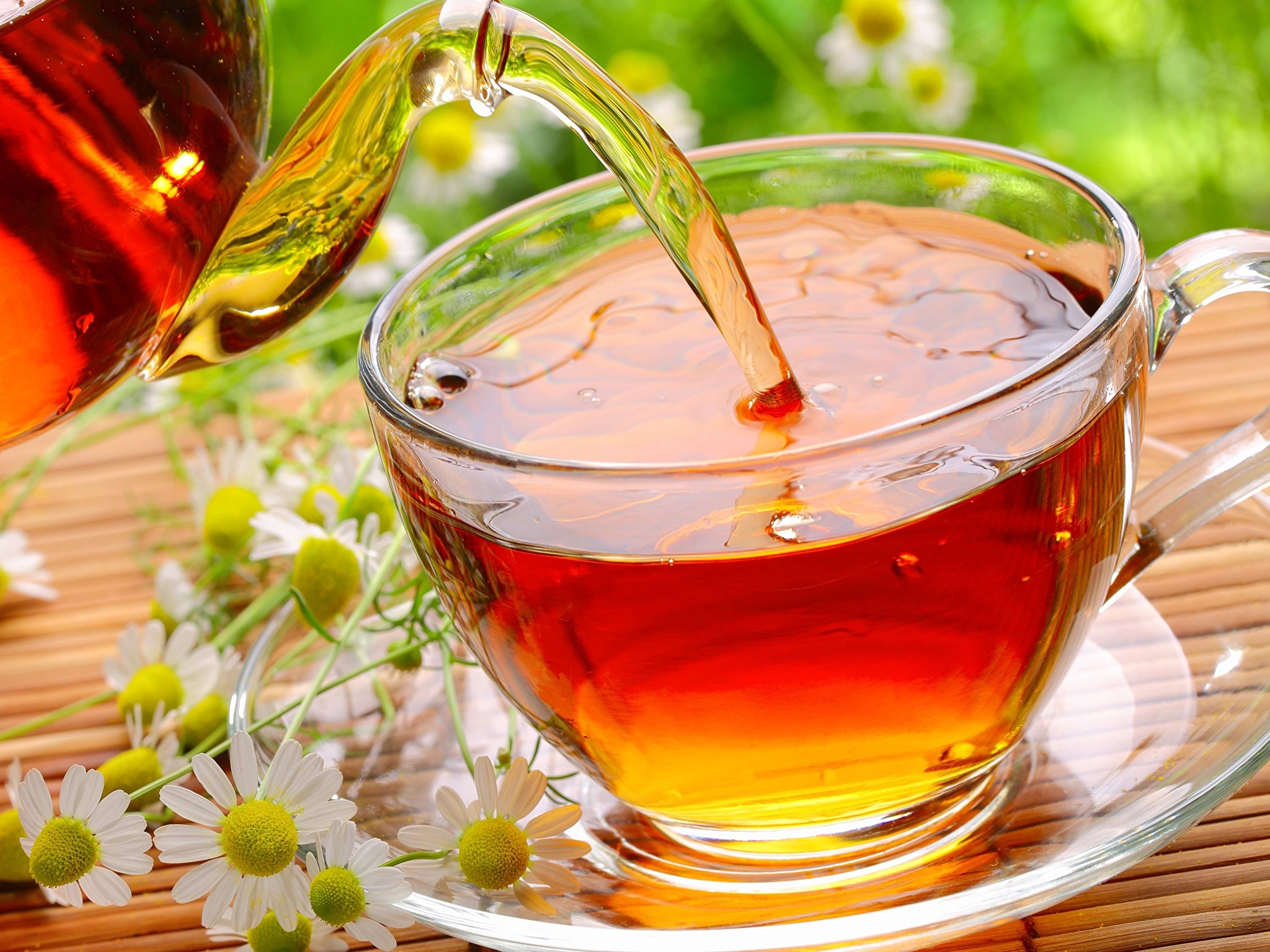 Rating of the best brands of tea bags for 2026