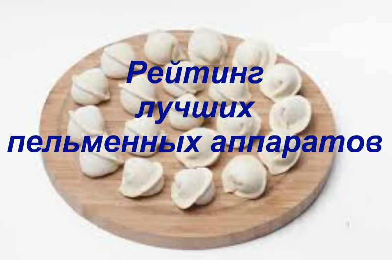 Rating of the best dumpling machines for 2026